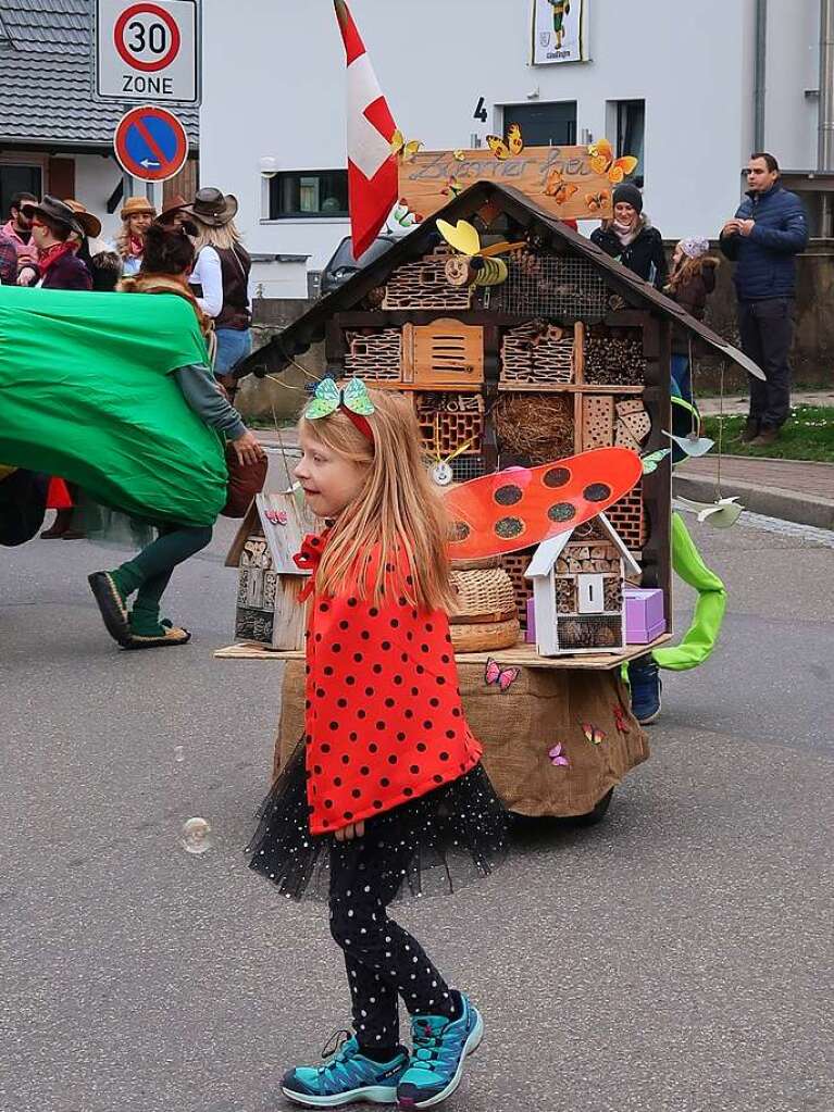 Impressionen von den Fasnachtsumzgen in Oberrotweil, Wasenweiler und Gndlingen