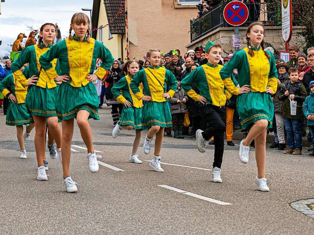 Impressionen vom Fasnachtsumzug in Pfaffenweiler