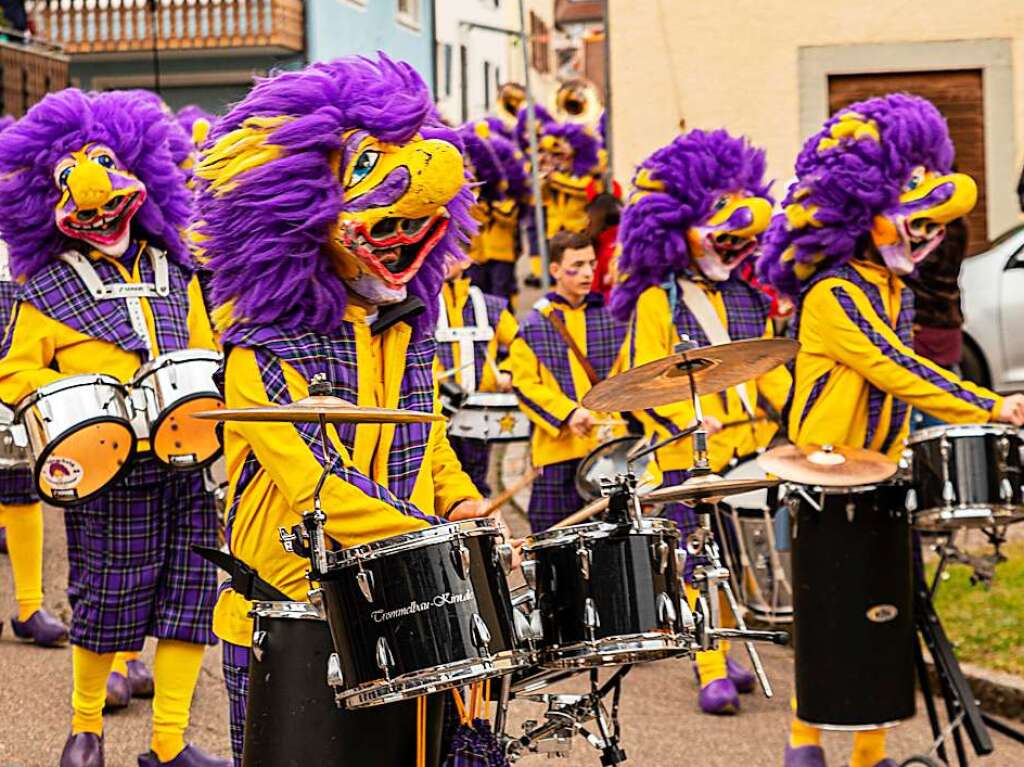 Impressionen vom Umzug in Ebringen