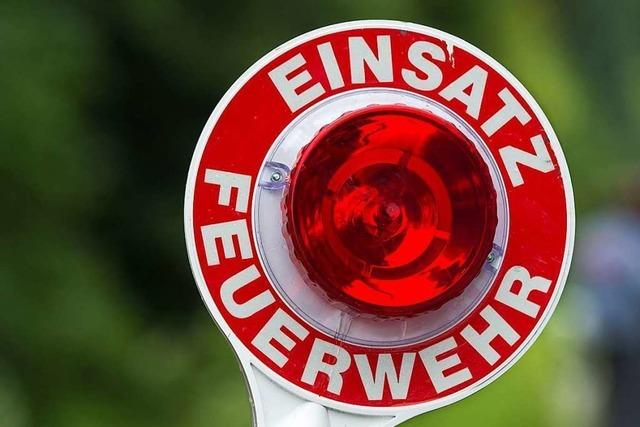 Gemeinde Grenzach-Wyhlen verbietet Disconebel – Zunft ist sauer
