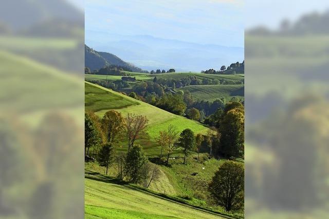 Landwirte reden mit