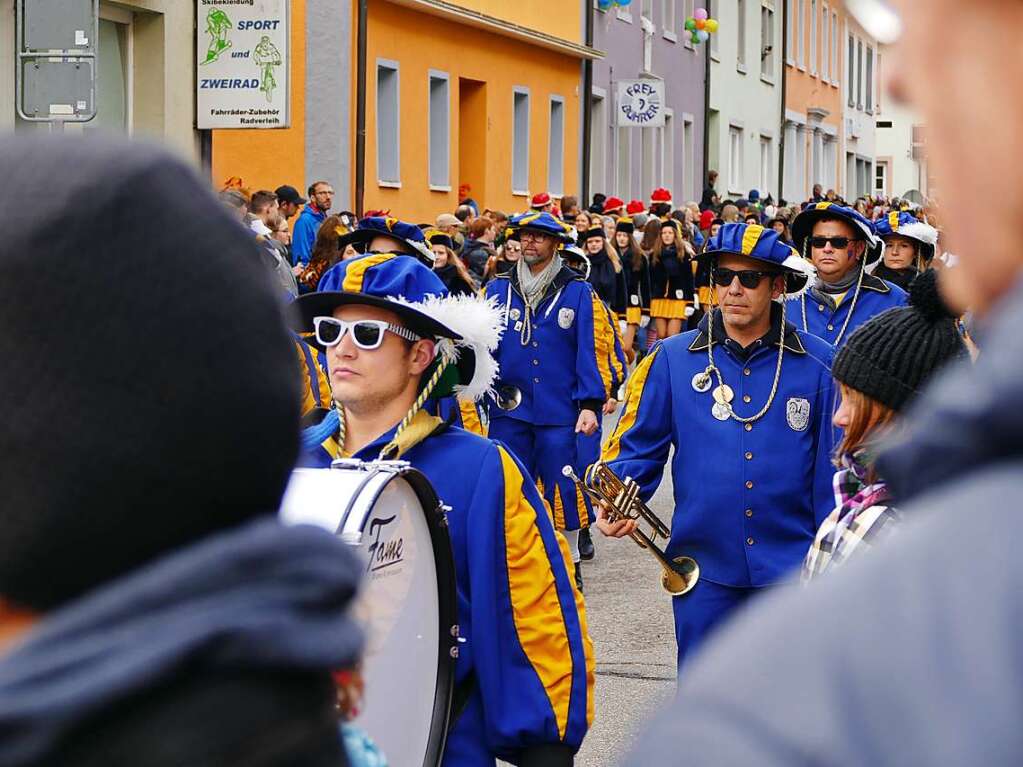 44 Nummern bot der Todtnauer Rosenmontagsumzug 2020 auf.