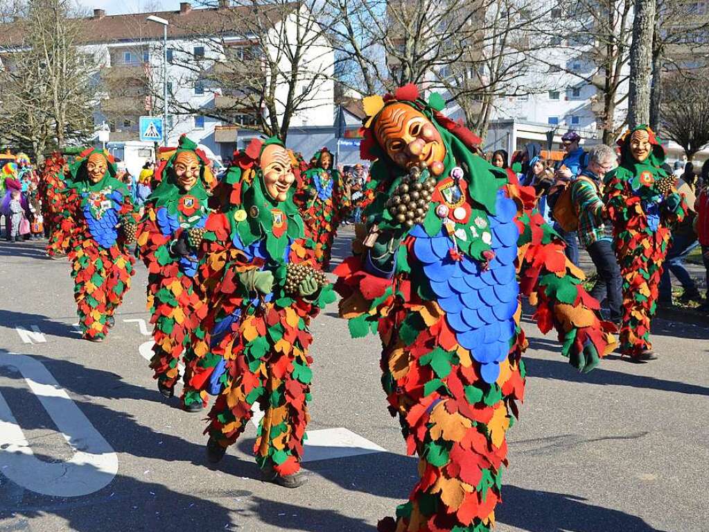 Fasnetumzug in Denzlingen