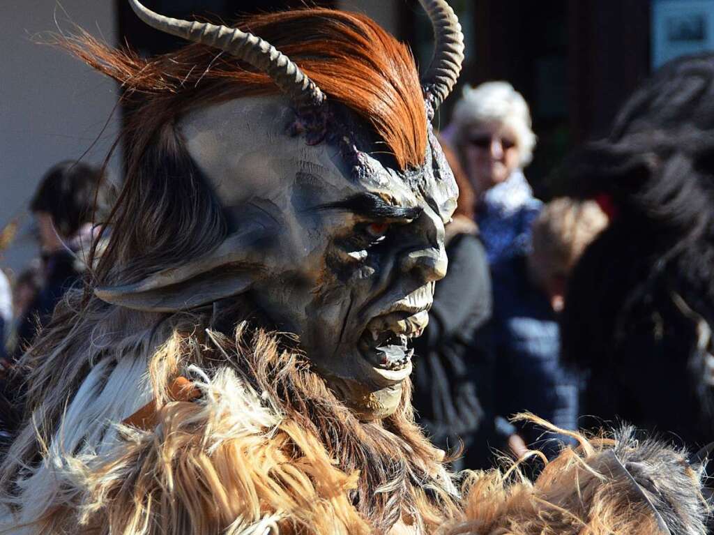 Fasnetumzug in Denzlingen