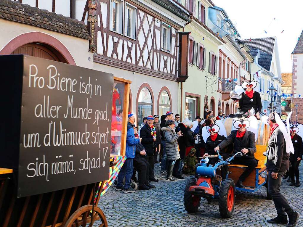 Groer Umzug am Fasnetsmontag in Endingen: Ein Herz fr Wiimiggli in der ganzen Artenschutzdebatte zeigte das Narrennest Schelmgrab.