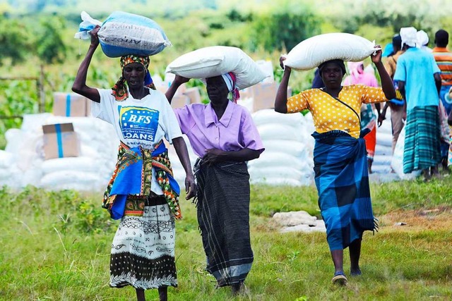 Drre in Simbabwe: Frauen tragen Maiss...rung von einer Hungersnot bedroht ist.  | Foto: Tsvangirayi Mukwazhi (dpa)