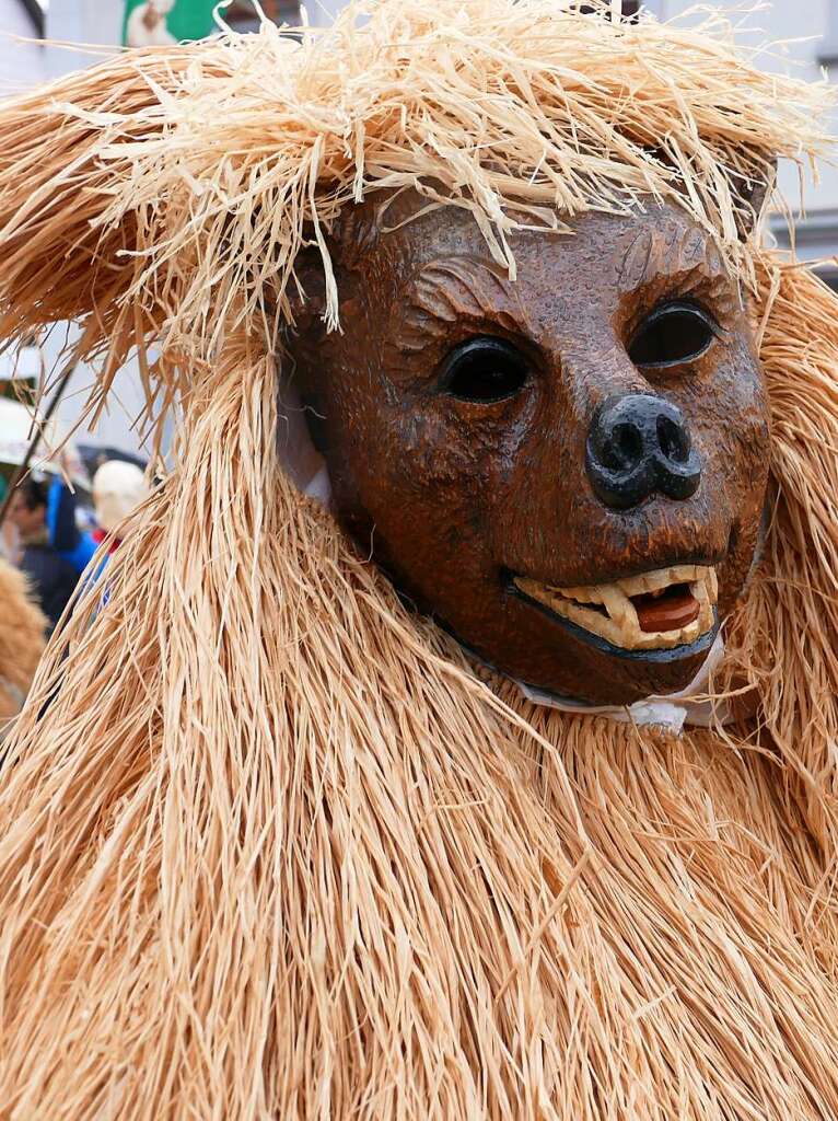 Narrenumzug am Fasnet-Zieschdig in Ewattingen