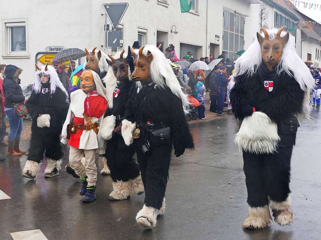 Narrenumzug am Fasnet-Zieschdig in Ewattingen