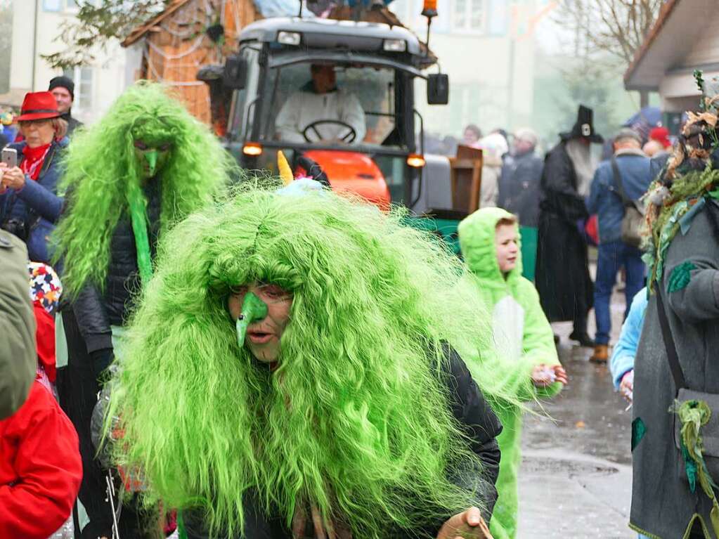 Narrenumzug am Fasnet-Zieschdig in Ewattingen