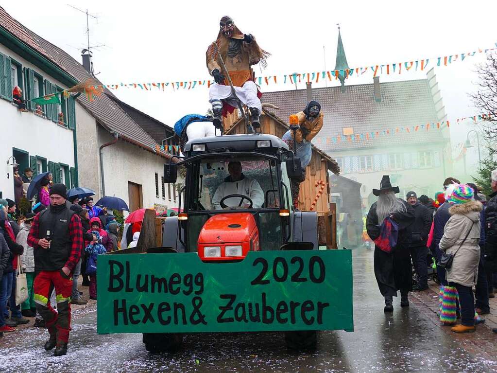 Narrenumzug am Fasnet-Zieschdig in Ewattingen