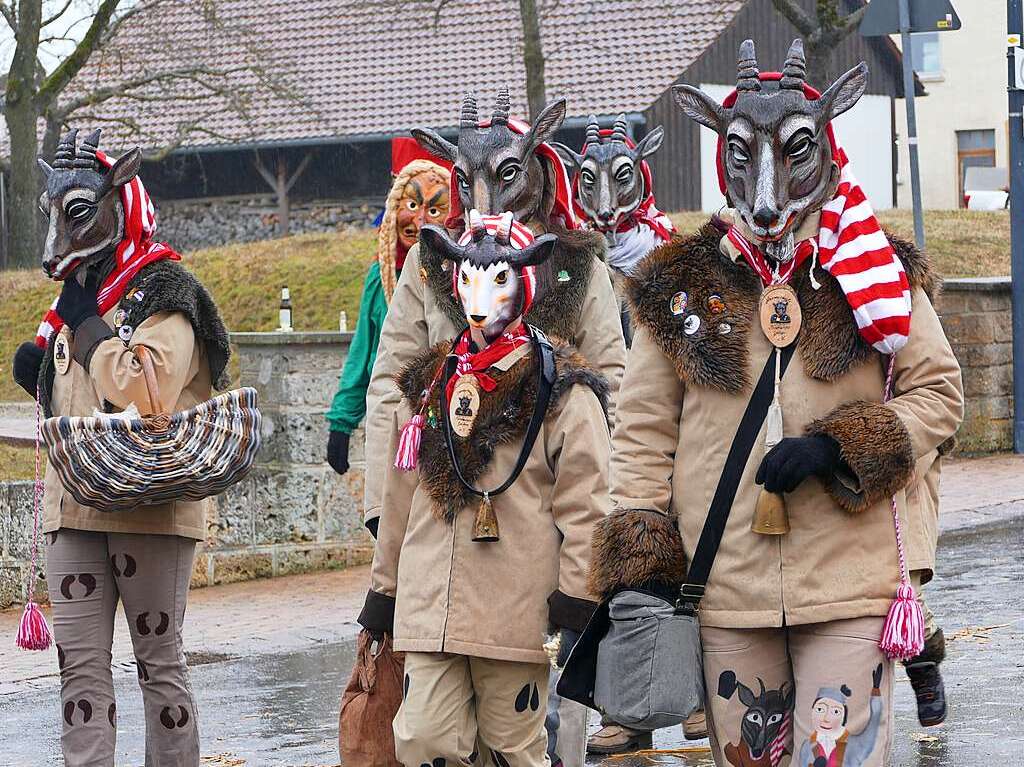 Narrenumzug am Fasnet-Zieschdig in Ewattingen