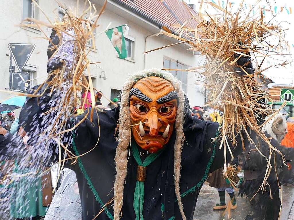 Narrenumzug am Fasnet-Zieschdig in Ewattingen