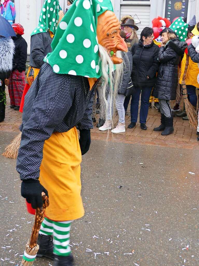 Narrenumzug am Fasnet-Zieschdig in Ewattingen