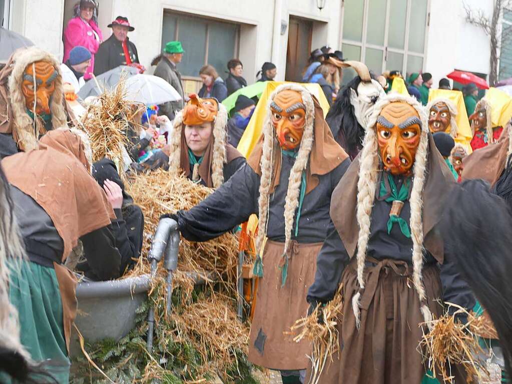 Narrenumzug am Fasnet-Zieschdig in Ewattingen