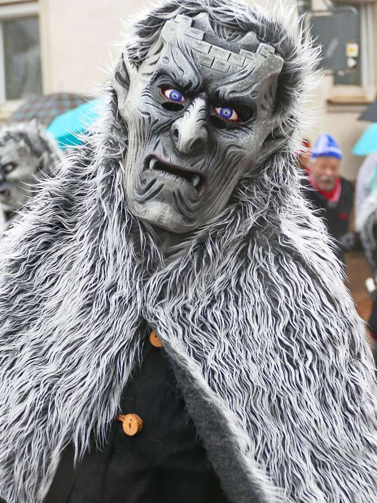 Narrenumzug am Fasnet-Zieschdig in Ewattingen