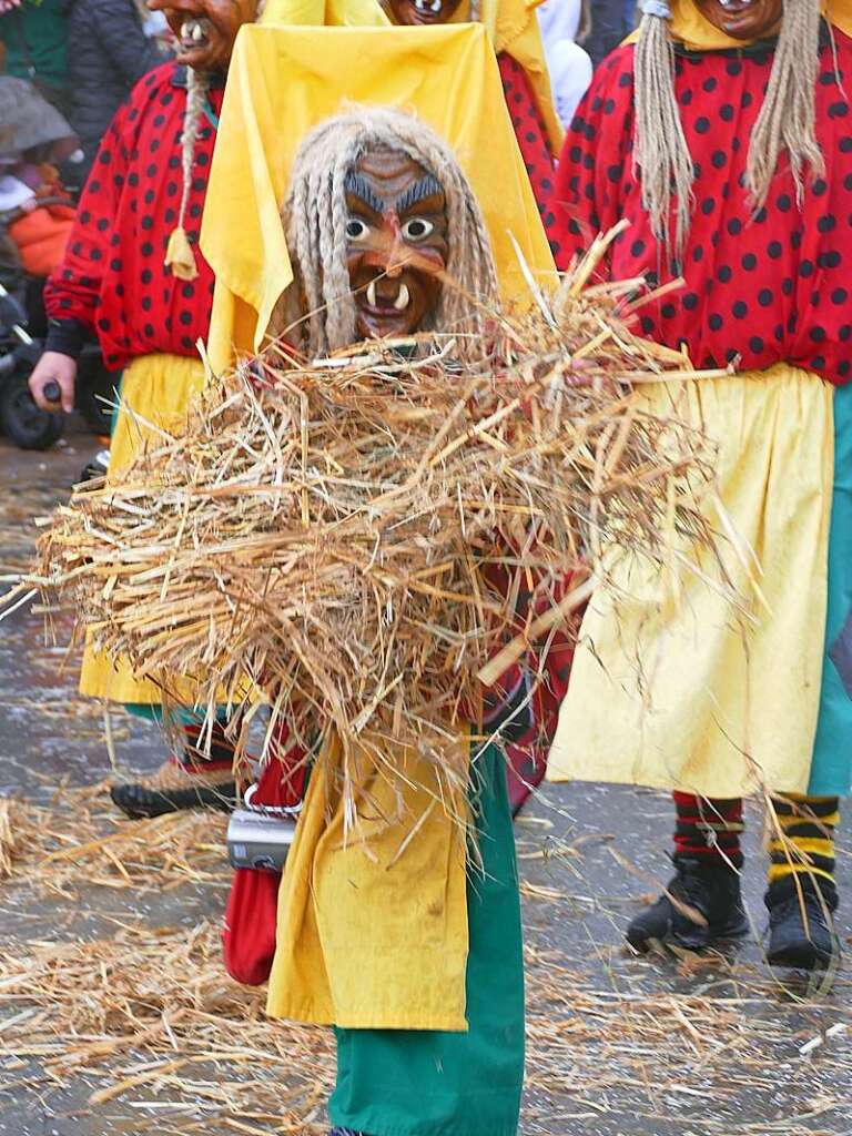 Narrenumzug am Fasnet-Zieschdig in Ewattingen