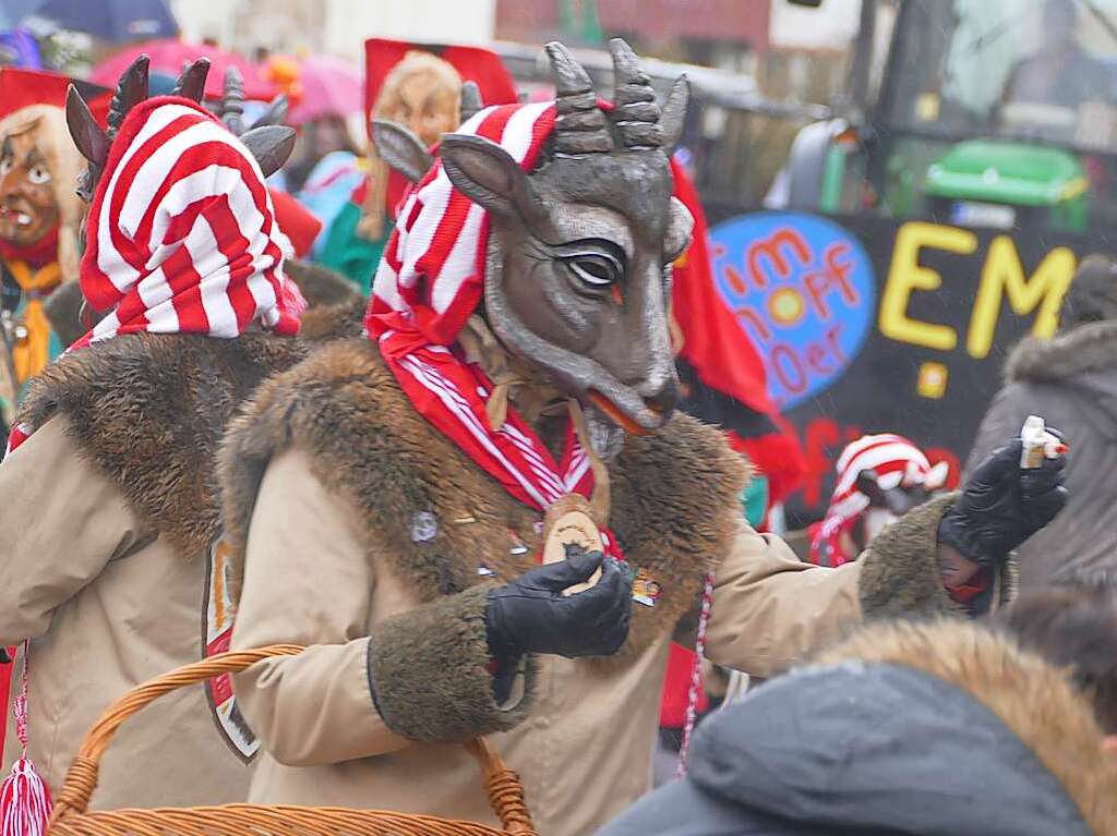 Narrenumzug am Fasnet-Zieschdig in Ewattingen