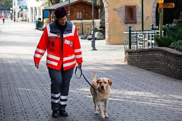 Freiburger Rettungshunde schnffeln sich im Europa-Park durch Frankreich-Themenbereich