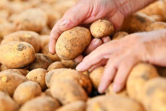 Bauernpaar soll polnische Hilfskrfte wie Leibeigene gehalten haben