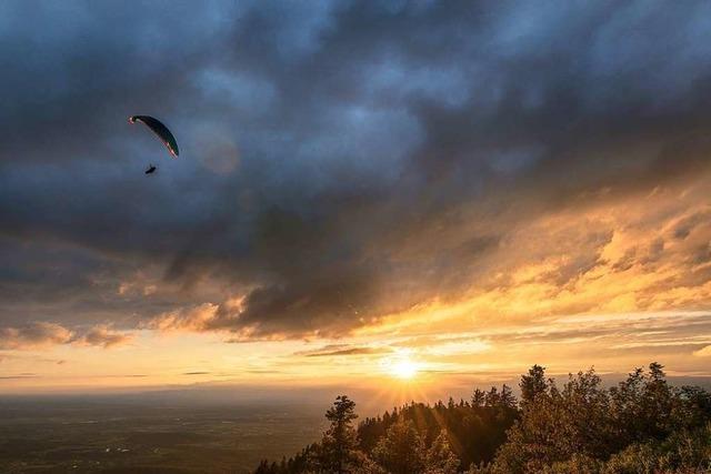 Ein Gleitschirmflieger startet seinen Flug auf dem Hochblauen