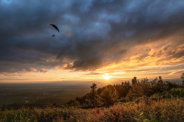Ein Gleitschirmflieger startet seinen Flug auf dem Hochblauen  | Foto: Julian Schwald