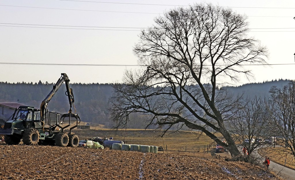 Naturschutz contra Verkehrssicherheit Grafenhausen