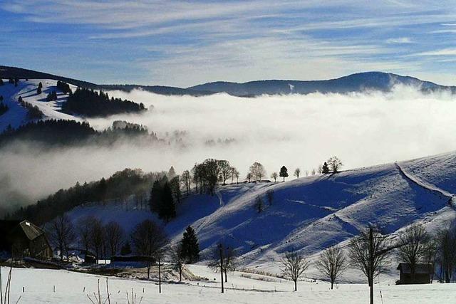 Wunderschönes Nebelmeer am Schauinsland