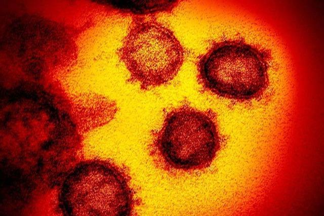 Coronavirus erreicht Sdbaden – drei Flle im Raum Freiburg