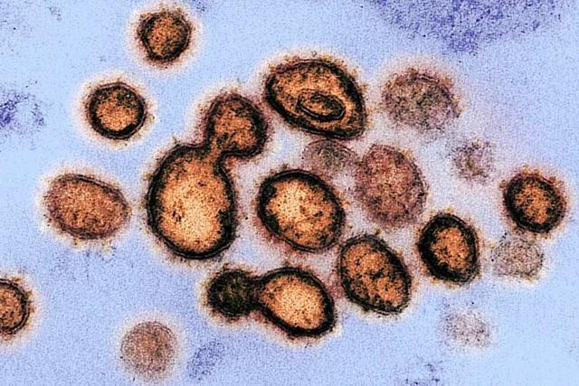 Die Angst vor dem Coronavirus macht sich in Südbaden breit