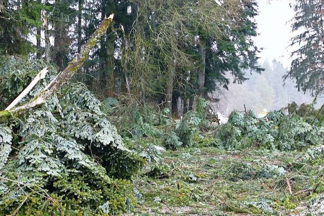 Der Stadtwald Bonndorf wurde durch Stu... halben Jahreseinschlag gesorgt hatte.  | Foto: Stefan Limberger-Andris