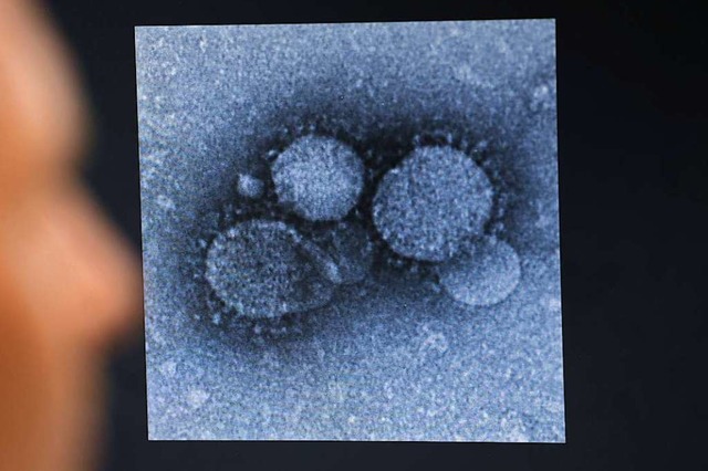 Ein Virologe betrachtet in einem Forsc...Verwandten des neuartigen Coronavirus.  | Foto: Arne Dedert (dpa)
