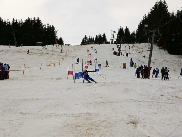 20. Deutsche Musikanten-Skimeisterscha...er beim  Riesenslalom durch die Tore.   | Foto: Eva Korinth