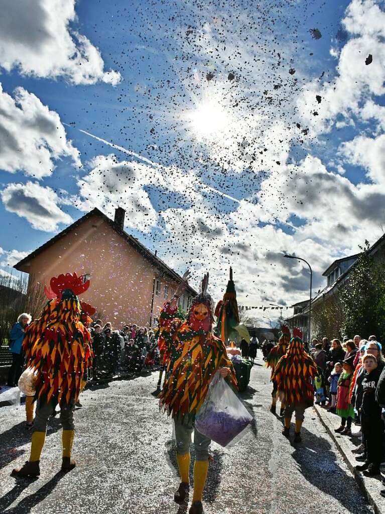 So bunt war der Haugemer Buurefasnachtsumzug.