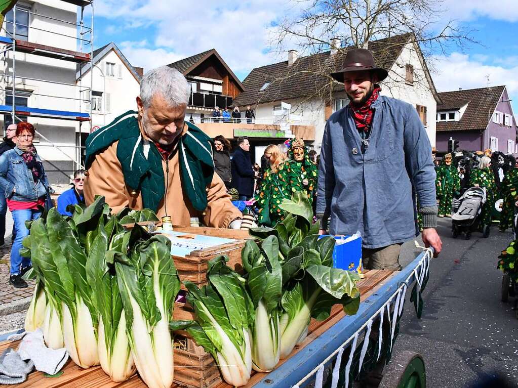 So bunt war der Haugemer Buurefasnachtsumzug.