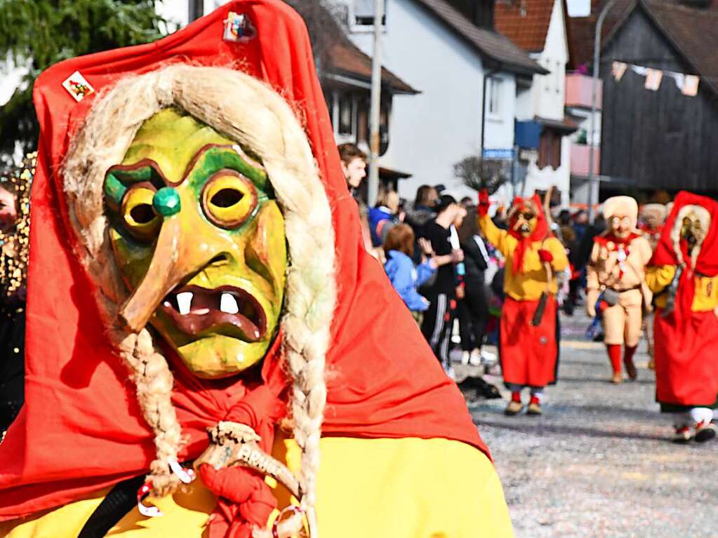 So bunt war der Haugemer Buurefasnachtsumzug.