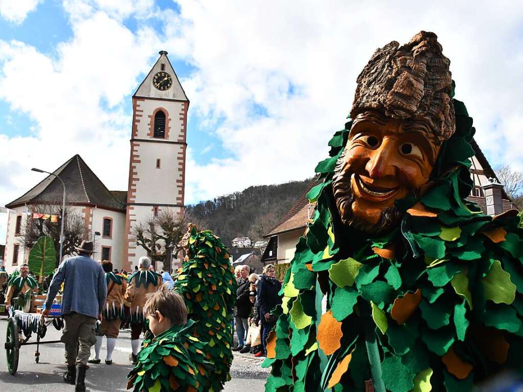 So bunt war der Haugemer Buurefasnachtsumzug.