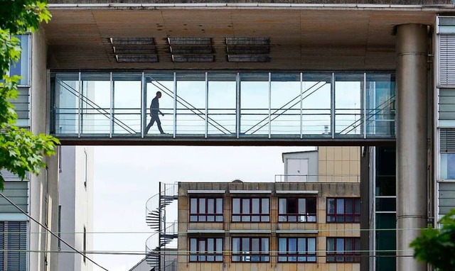 Um den Steg im &#8222;Windfenster&#8220; gab es jahrelang Streit.  | Foto: Ingo Schneider