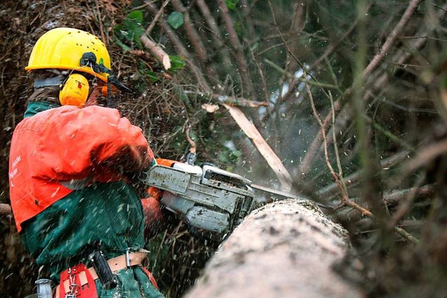 Kritiker behaupten, fr den neuen Stad...000 Bume gefllt werden. (Symbolbild)  | Foto: A9999 Nlf/ Thomas Gasparini