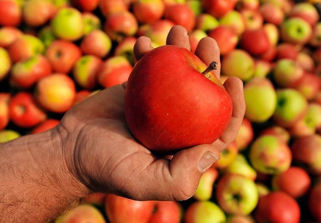 Reicht es,  einen Apfel an der Kleidung zu reiben, um ihn zu reinigen?  | Foto: Patrick Seeger