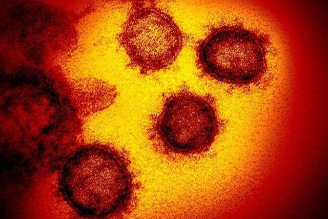 Ein 35-Jähriger aus dem Landkreis Lörrach hat sich mit dem Coronavirus infiziert