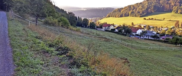 Das Baugebiet Rosencker mit Hanglage.... fr die Entwsserung wurde gefunden.   | Foto: Yvonne Wrth