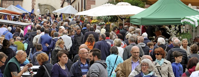 Zum &#8222;Blhenden Endingen&#8220; d...nderen hauptschlich im Freien spielt.  | Foto: Ruth Seitz-Wendel