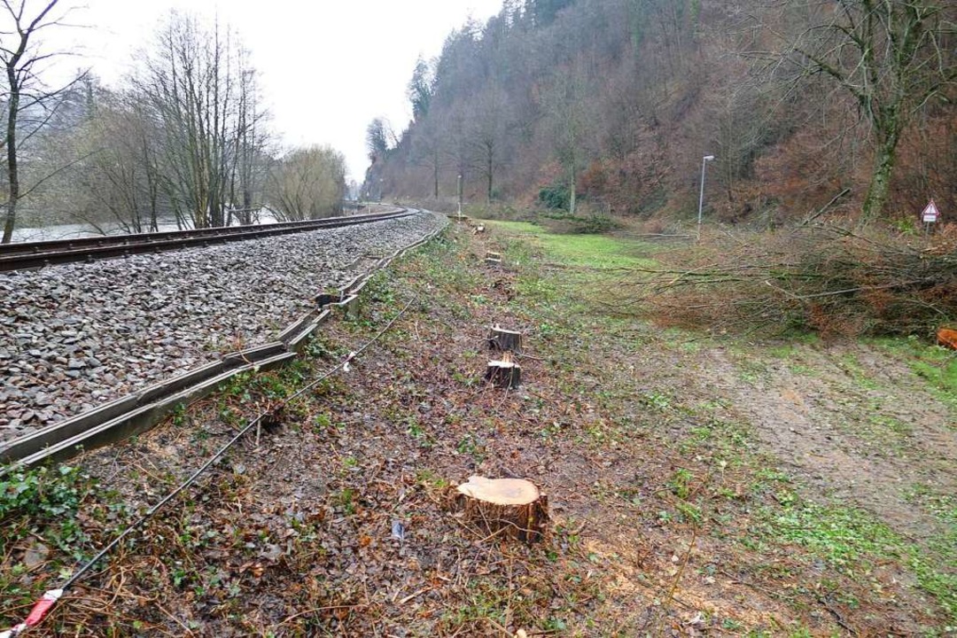 Die Bume zwischen dem Bahnhof Waldkir...Hier wird das Gleisbett neu aufgebaut.  | Foto: Sylvia Sredniawa