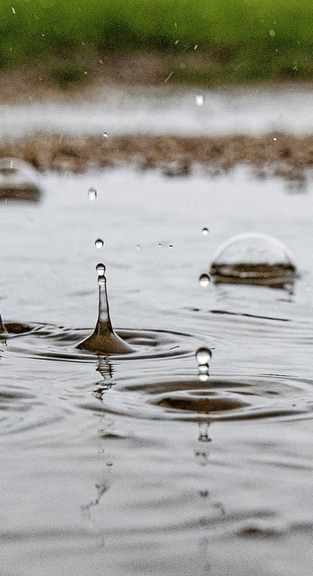 Der Februar kann mit genug Niederschla...kam er als Regen und nicht als Schnee.  | Foto: Paul Zinken (dpa)