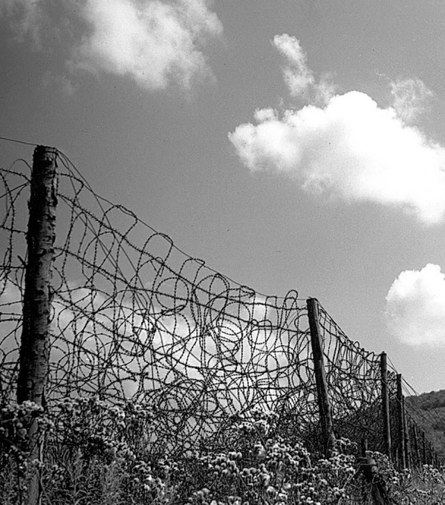 Grenzzaun bei Bettingen  | Foto: Adrian Stckelberger