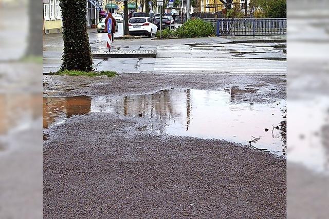 MARKTPLATZ 11: Baum fragt nicht nach Geschichte