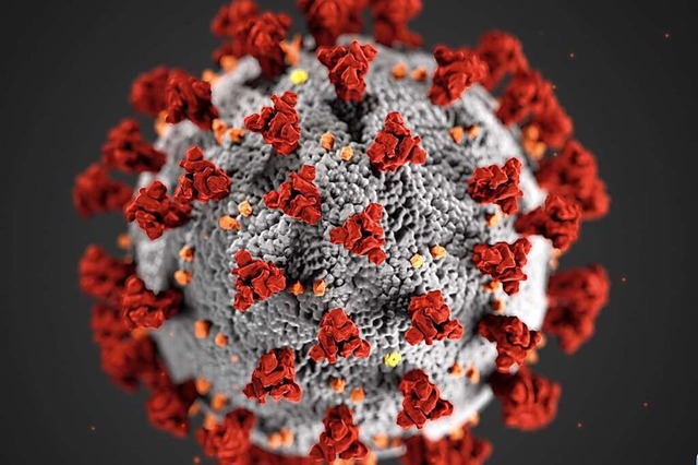 Diese llustration zeigt das neuartige Coronavirus  | Foto: Cdc (dpa)