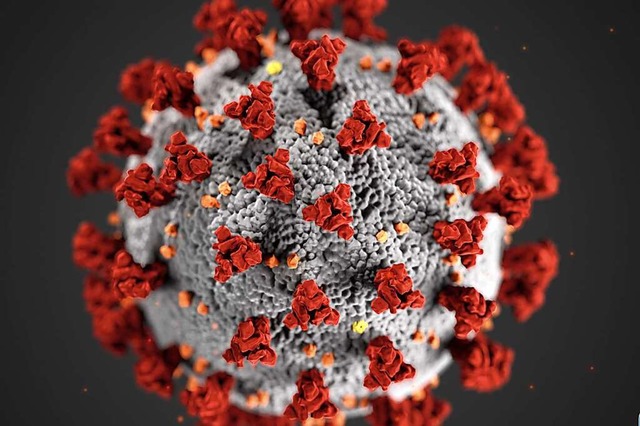Das Coronavirus in einer Illustration  | Foto: Cdc (dpa)