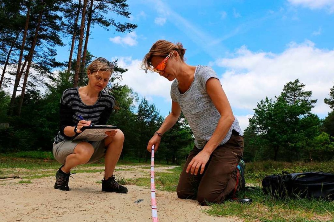 Bürgerwissenschaftlerinnen bei der Vermessung einer Wolfsspur.  | Foto: Biosphere Expedition