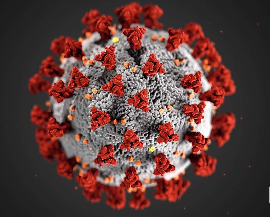 Das Coronavirus in einer Illustration  | Foto: Cdc (dpa)